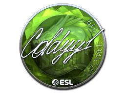 Sticker | COLDYY1 (Foil) | Katowice 2019