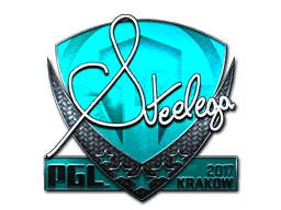 Sticker | steel (Foil) | Krakow 2017