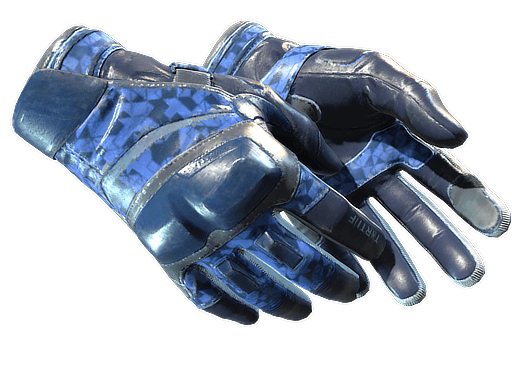 ★ Moto Gloves | Polygon