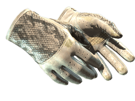 ★ Driver Gloves | King Snake