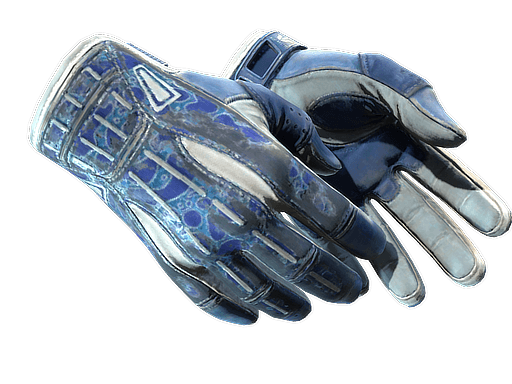 ★ Sport Gloves | Amphibious