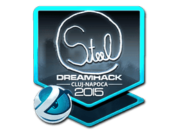 Sticker | steel (Foil) | Cluj-Napoca 2015