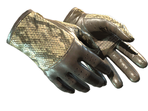 ★ Driver Gloves | Diamondback (Factory New)