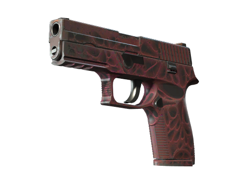StatTrak™ P250 | Contaminant (Well-Worn)