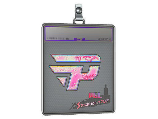 Sticker Slab | paiN Gaming (Holo) | Budapest 2025